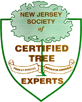 tree expert society